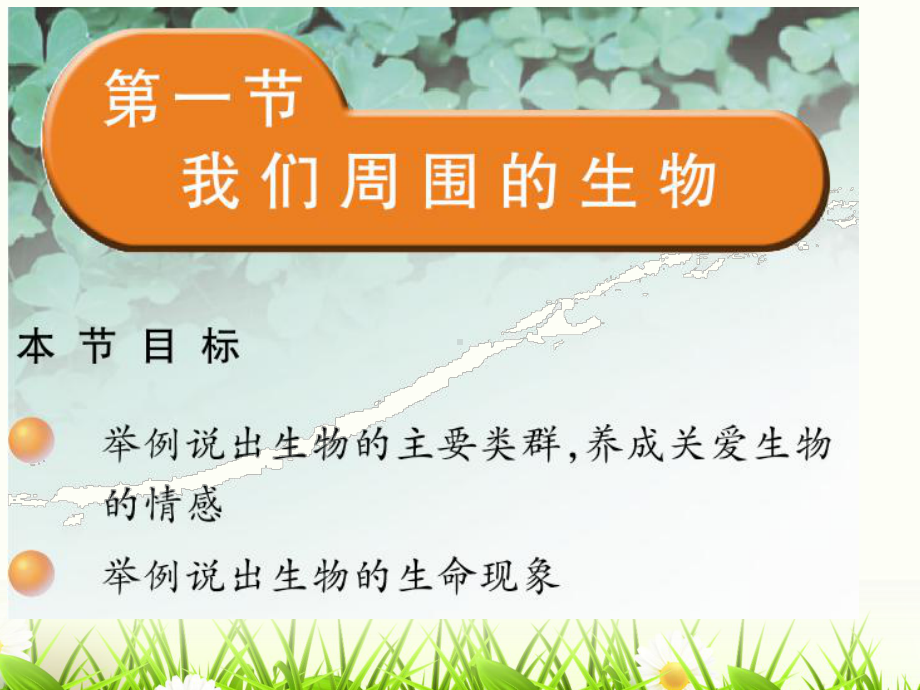 我们周围的生物课件.ppt_第3页