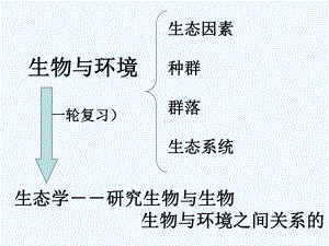 生态系统总复习课件.ppt