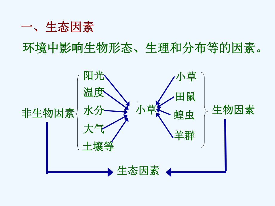 生态系统总复习课件.ppt_第2页