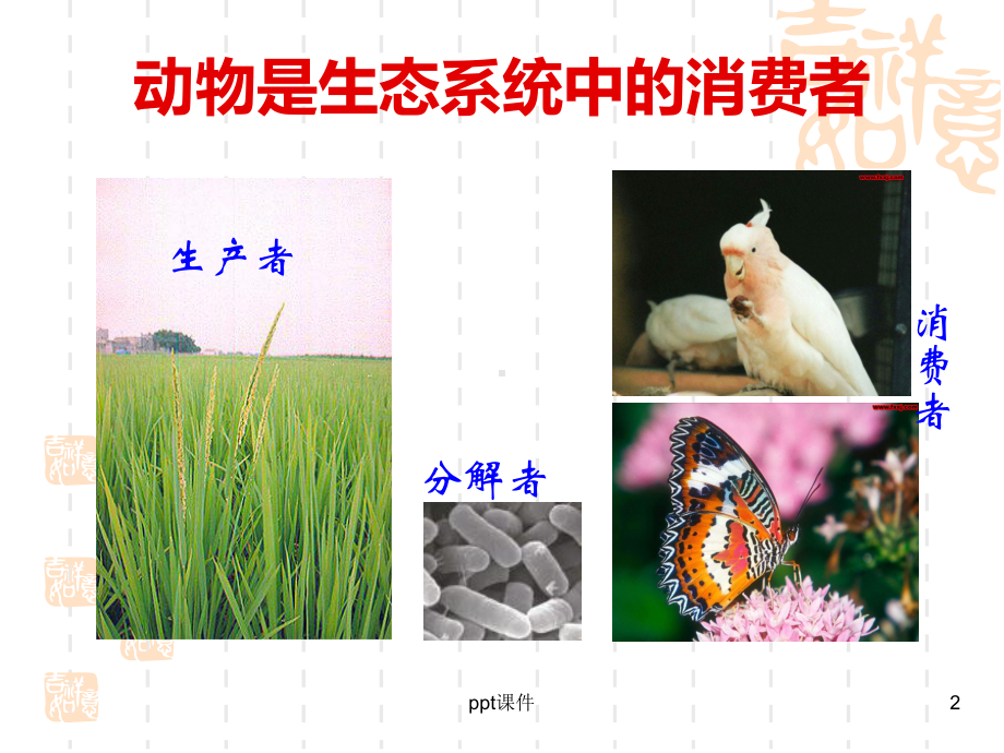 八年级生物(上册)《第三章动物在生物圈中的作用》课件.ppt_第2页