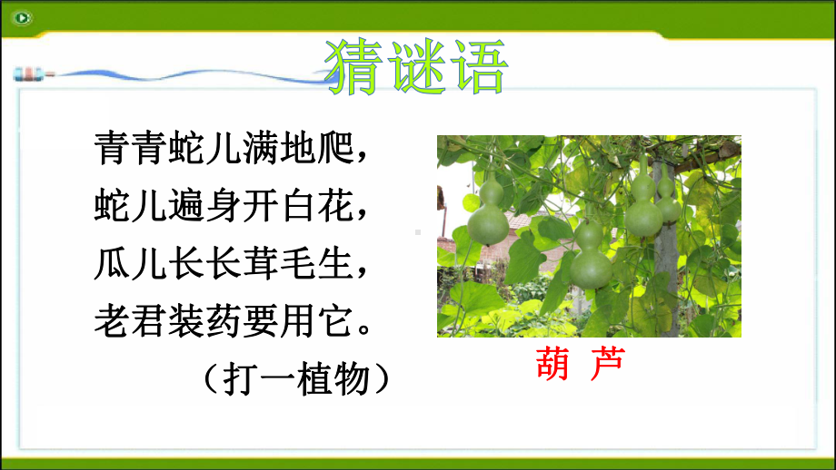 部编《我要的是葫芦》教研课件.ppt_第1页