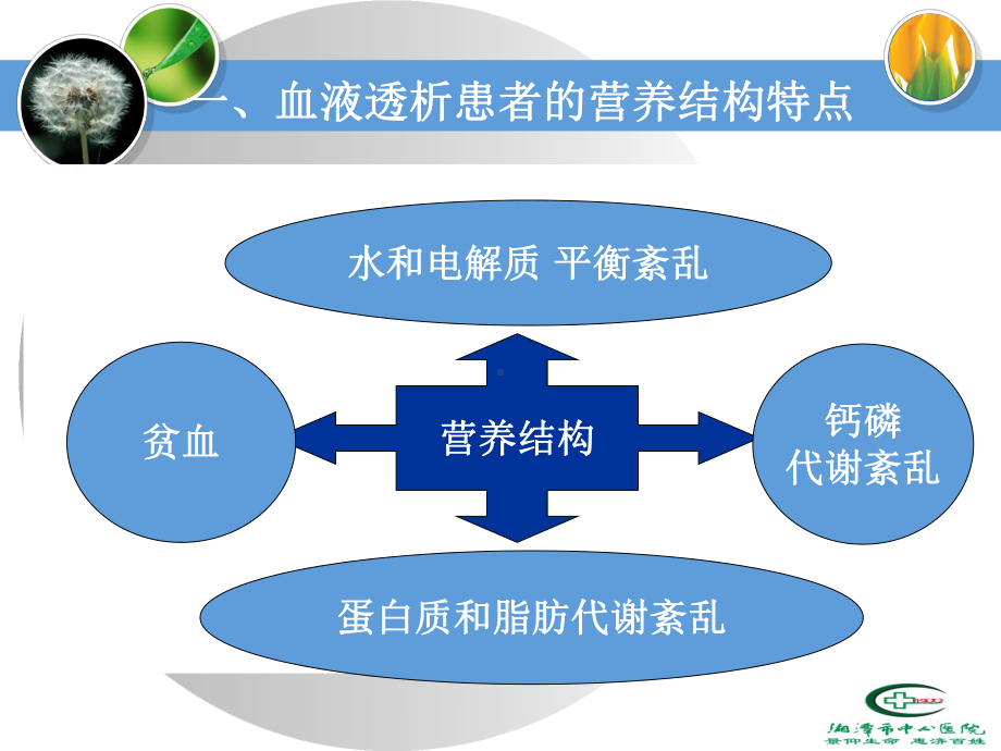 血液透析营养管理课件.ppt_第3页