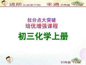 初三化学上册课件-利用方程式的简单计算说课.ppt