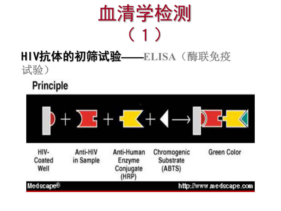 传染病-艾滋病2课件.ppt_第3页