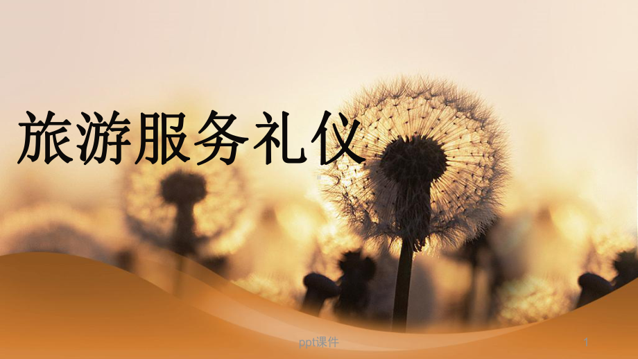 旅游服务礼仪课件.ppt_第1页