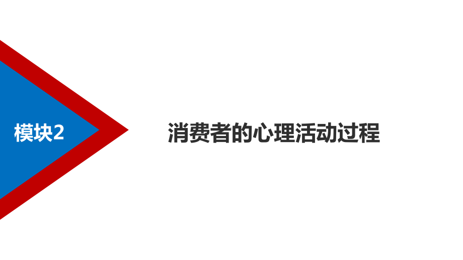 《消费者心理学》课件模块二消费者的心理活动过程.pptx_第2页