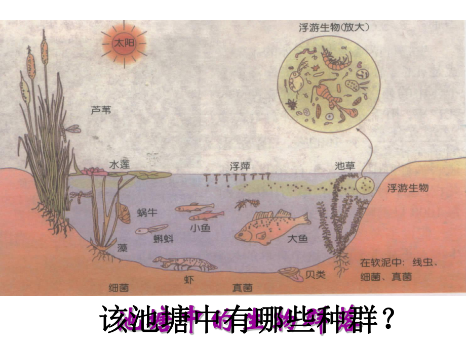 不同类型的生物群落课件.ppt_第2页