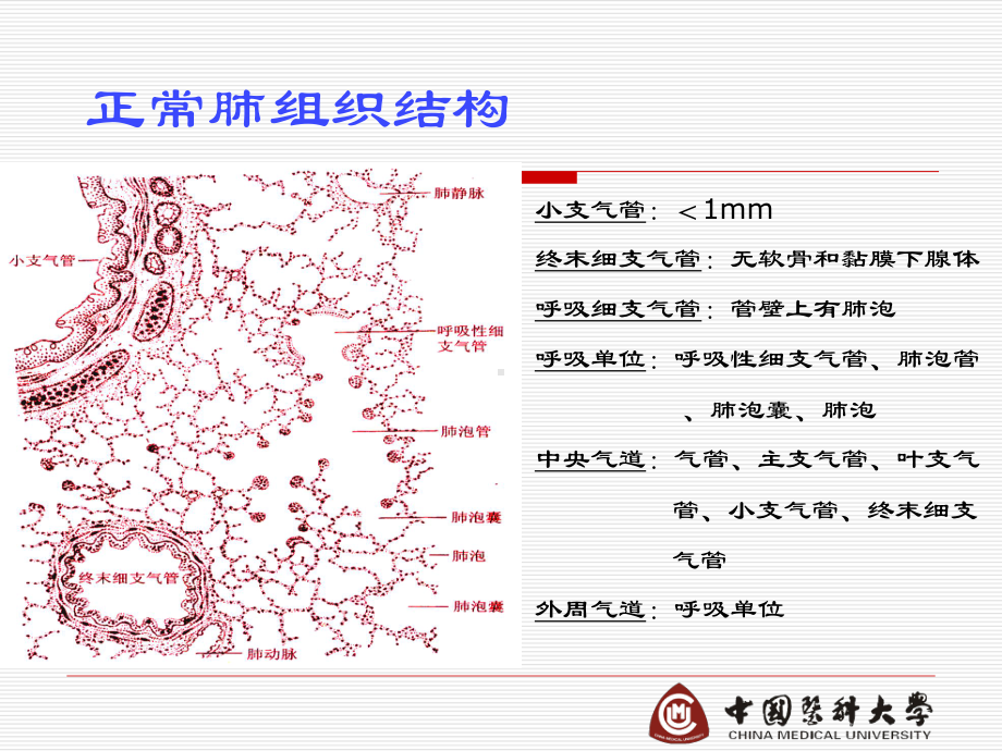 病理学第九章-呼吸系统疾病课件.ppt_第2页