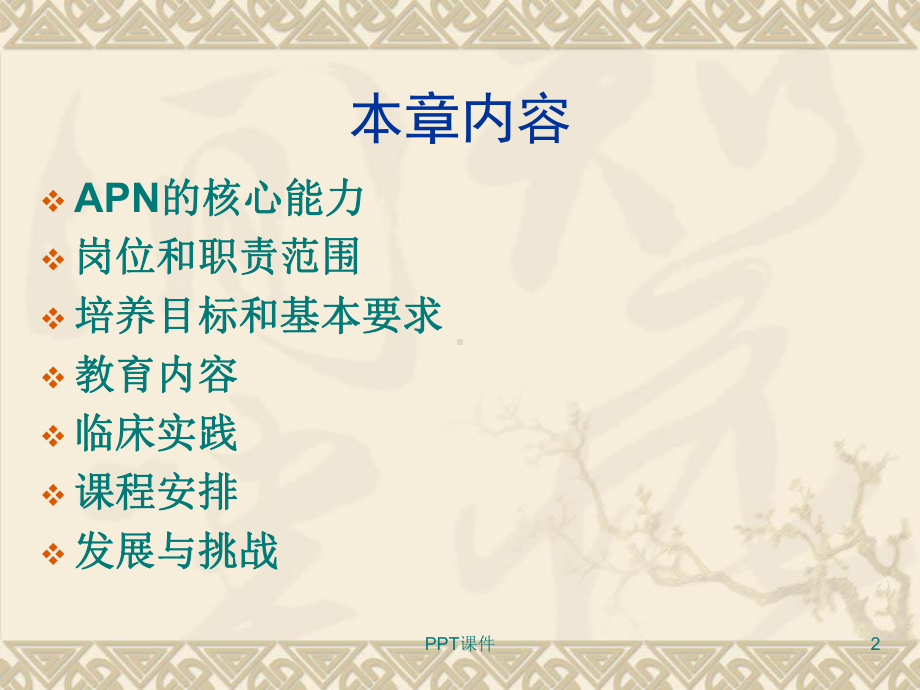 第二章高级实践护士的培养课件.ppt_第2页