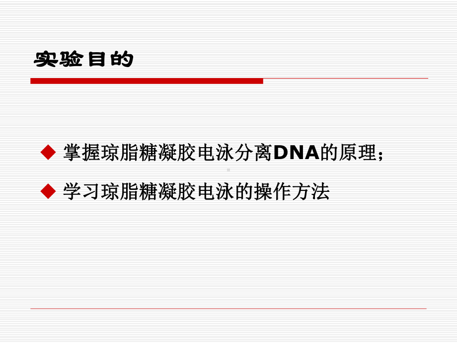 试验二质粒DNA电泳鉴定-武汉大学药学院课件.ppt_第2页