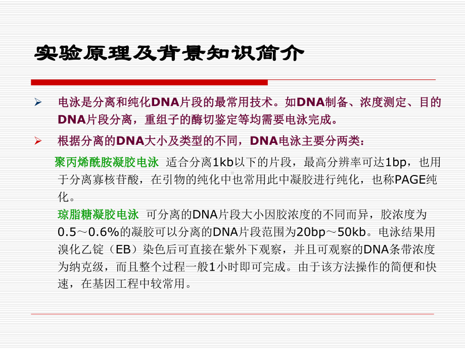 试验二质粒DNA电泳鉴定-武汉大学药学院课件.ppt_第3页