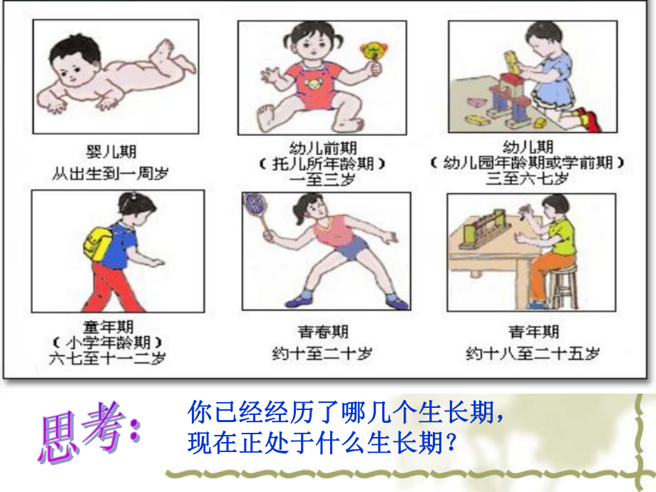 小学生青春期健康知识讲座课件.ppt_第2页