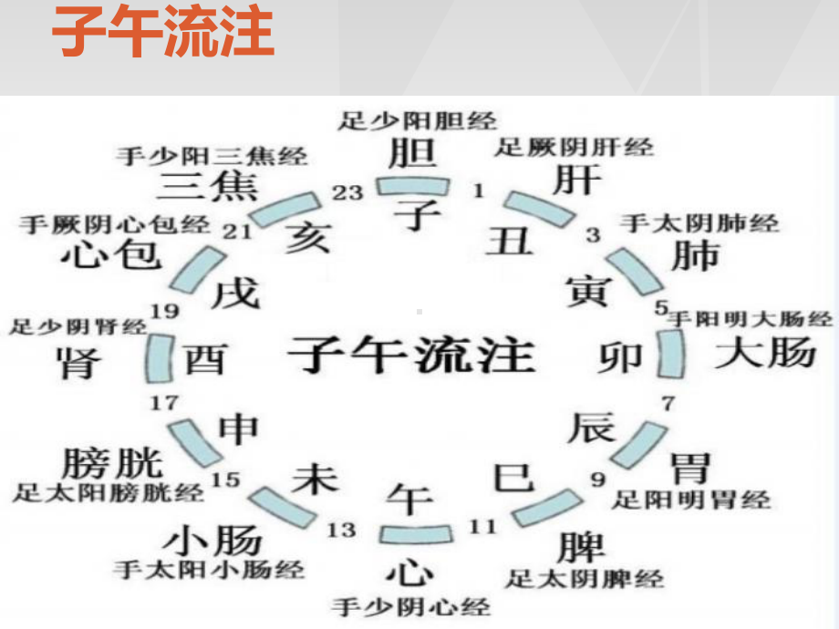 子午流注解析及应用详解课件.pptx_第2页