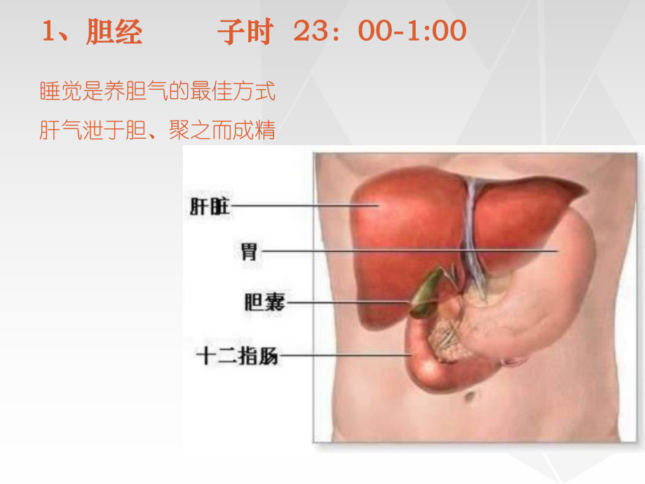 子午流注解析及应用详解课件.pptx_第3页