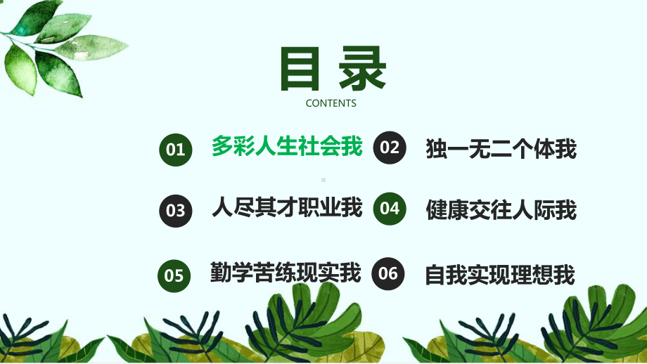 《心理健康与职业生涯规划》课件1.第一章多彩青春社会我.pptx_第1页