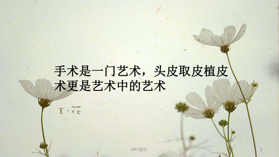 取皮植皮课件.ppt_第2页