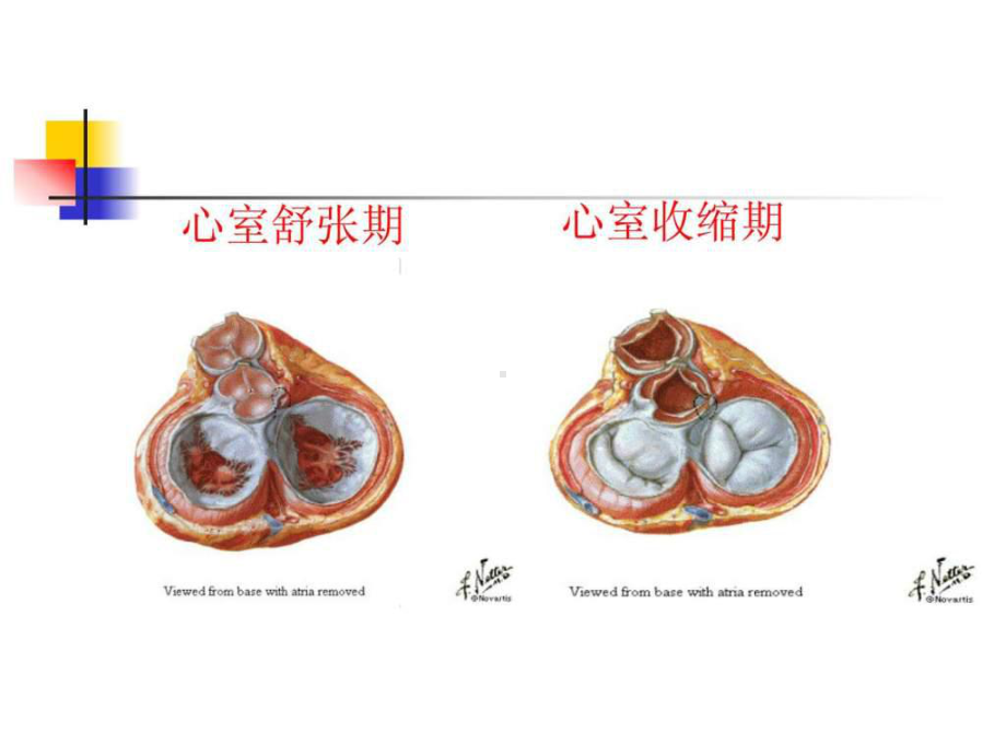 第8版内科学课件主动脉瓣关闭不全-002.ppt_第2页