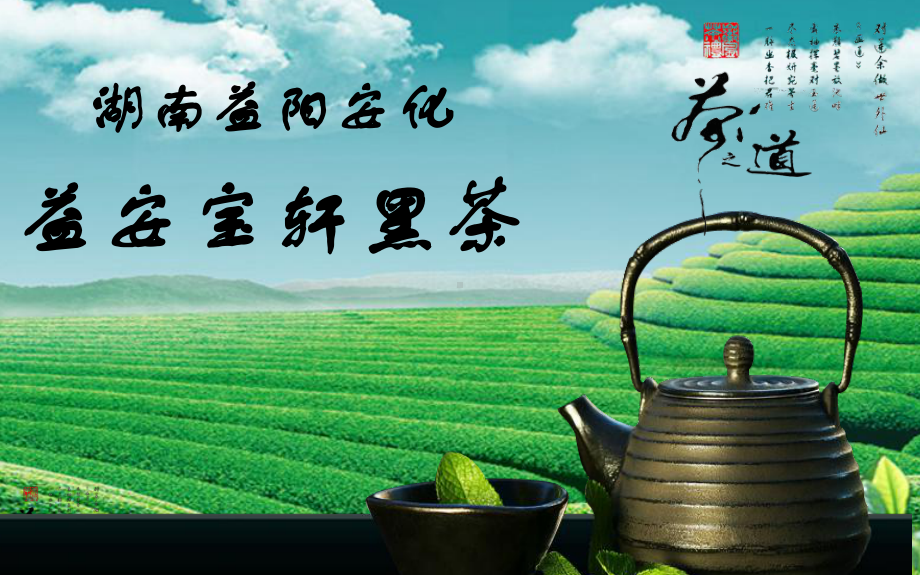 益阳安化黑茶资料课件.pptx_第1页