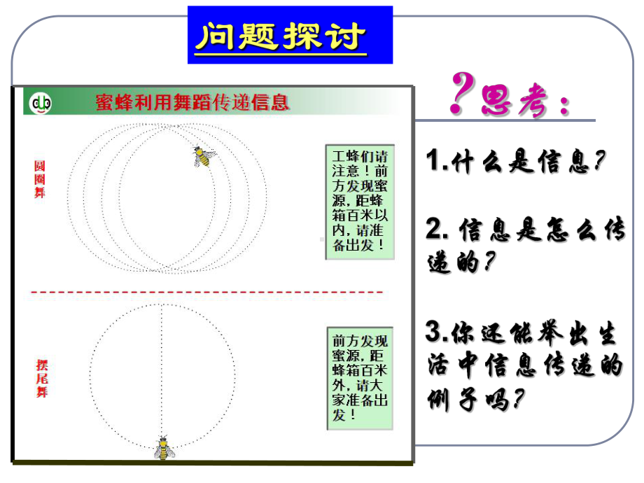 生态系统信息传递p课件.ppt_第3页