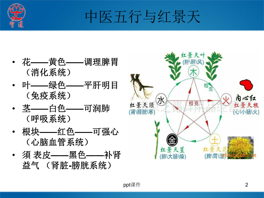 医书药典记载的红景天课件.ppt_第2页