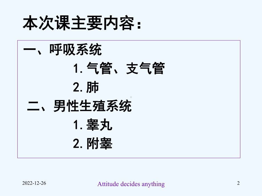 第十三章-呼吸系统课件.ppt_第2页