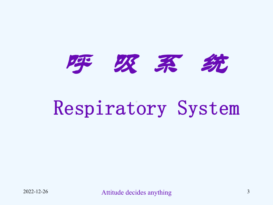 第十三章-呼吸系统课件.ppt_第3页