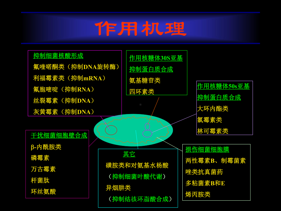 常用抗菌素(汇总)课件.ppt_第2页