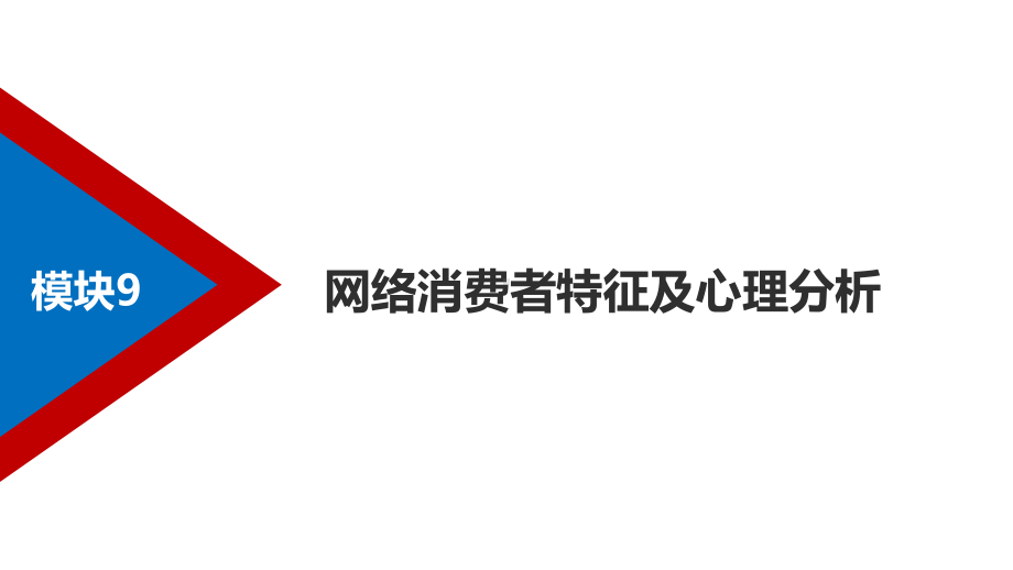 《消费者心理学》课件模块九网络消费者特征及心理分析.pptx_第2页