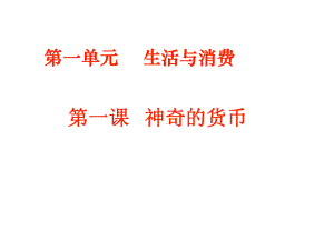 高一政治神奇的货币课件.ppt