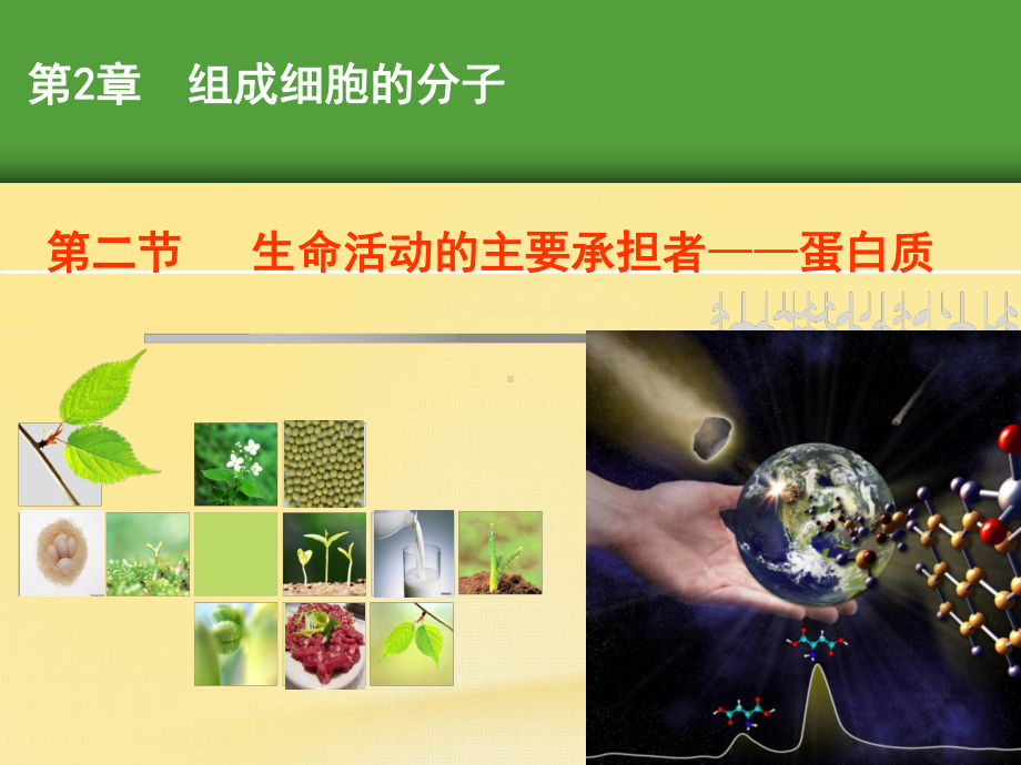 高中生物人教版必修1-生命活动的主要承担者-蛋白质课件.ppt_第1页