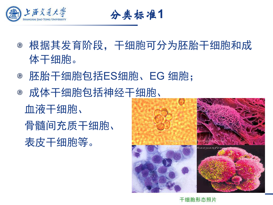 自体干细胞免疫疗法课件.ppt_第3页