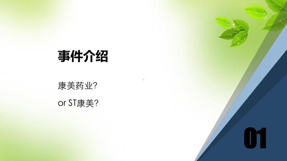 康美药业财务舞弊分析课件.ppt_第2页