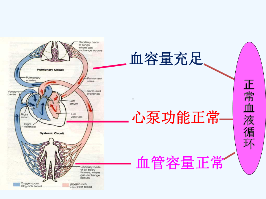 低血容量休克复苏指南及新进展课件.ppt_第3页