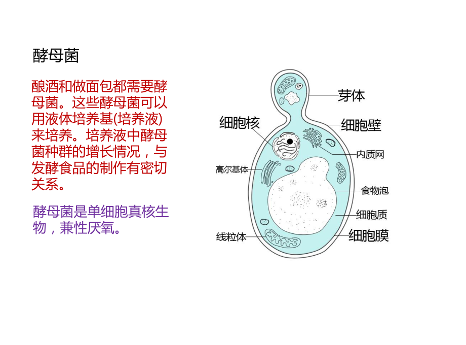 高中生物一轮复习课件42种群数量变化-2.pptx_第3页