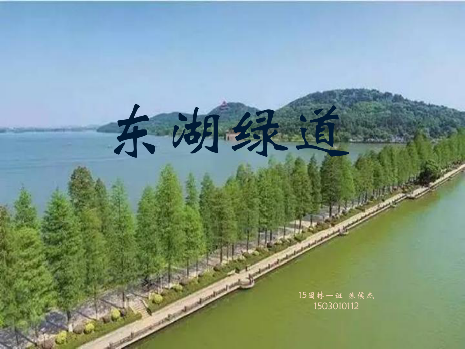 东湖绿道课件.ppt_第1页