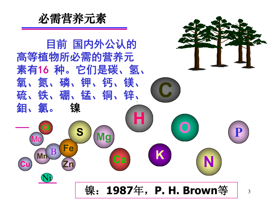 第四章-土壤肥力课件.ppt_第3页