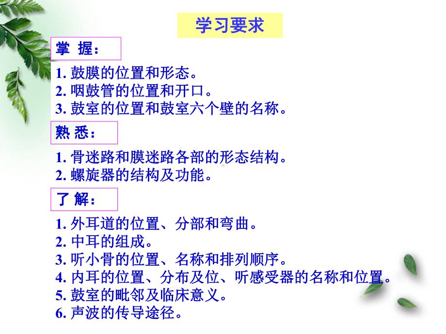 解剖学-感觉器-前庭蜗器(临床专业)课件.ppt_第3页