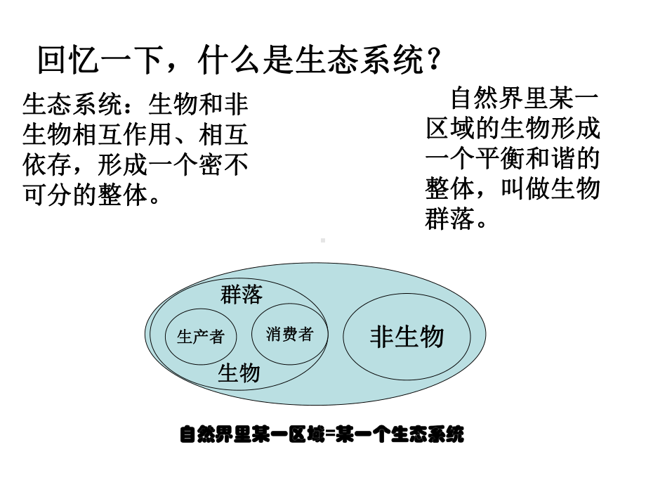 维护生态平衡优秀课件.pptx_第2页