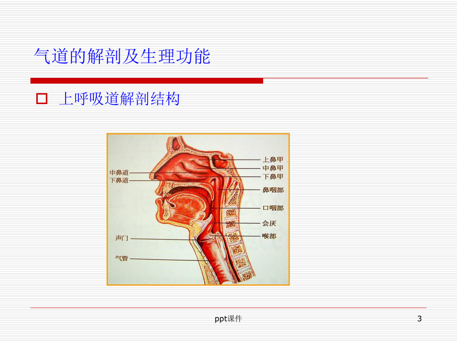 急诊气道管理课件.ppt_第3页