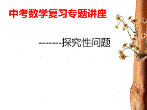 中考数学复习专题讲座课件.ppt