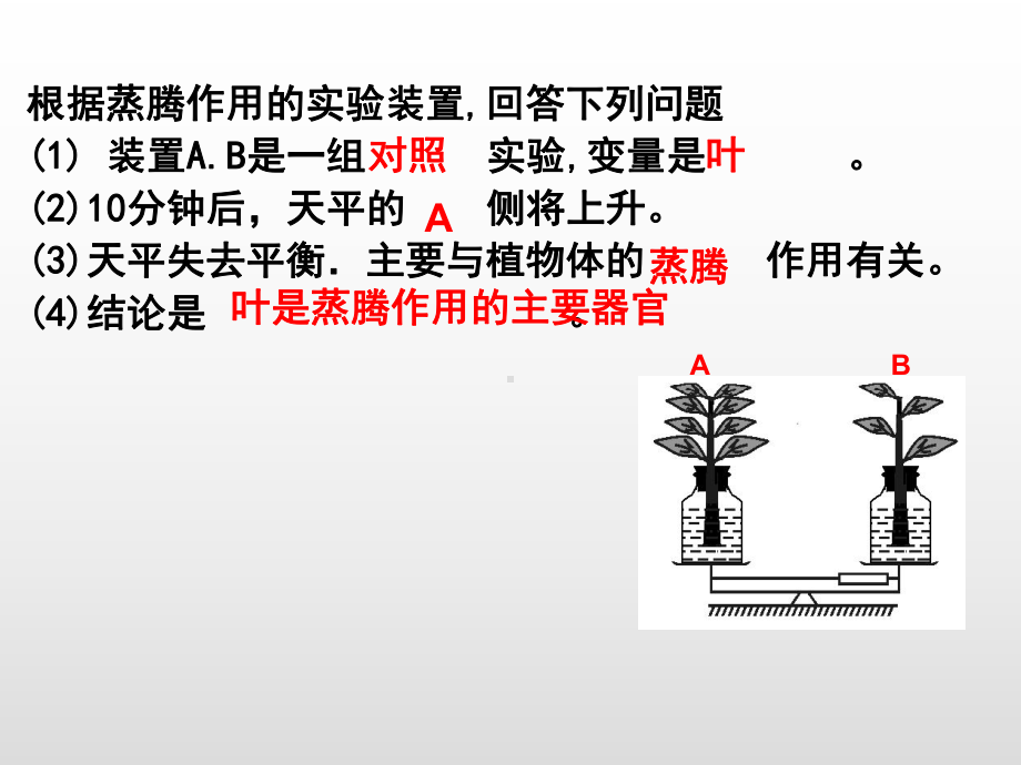 中考一轮复习第二单元第一章第二节-蒸腾作用(复习课)课件.pptx_第3页