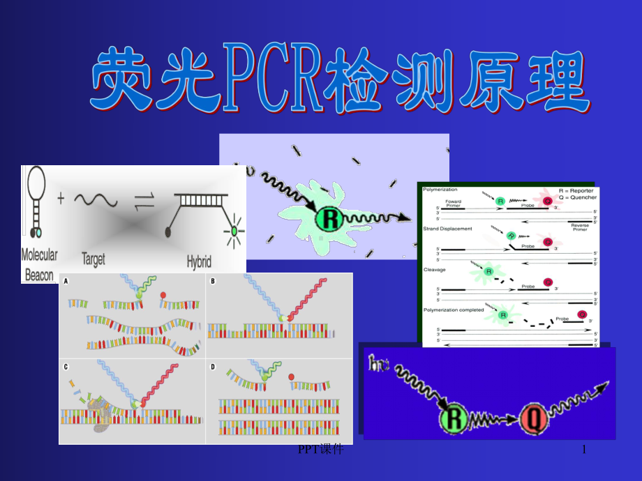 荧光PCR检测原理课件.ppt_第1页