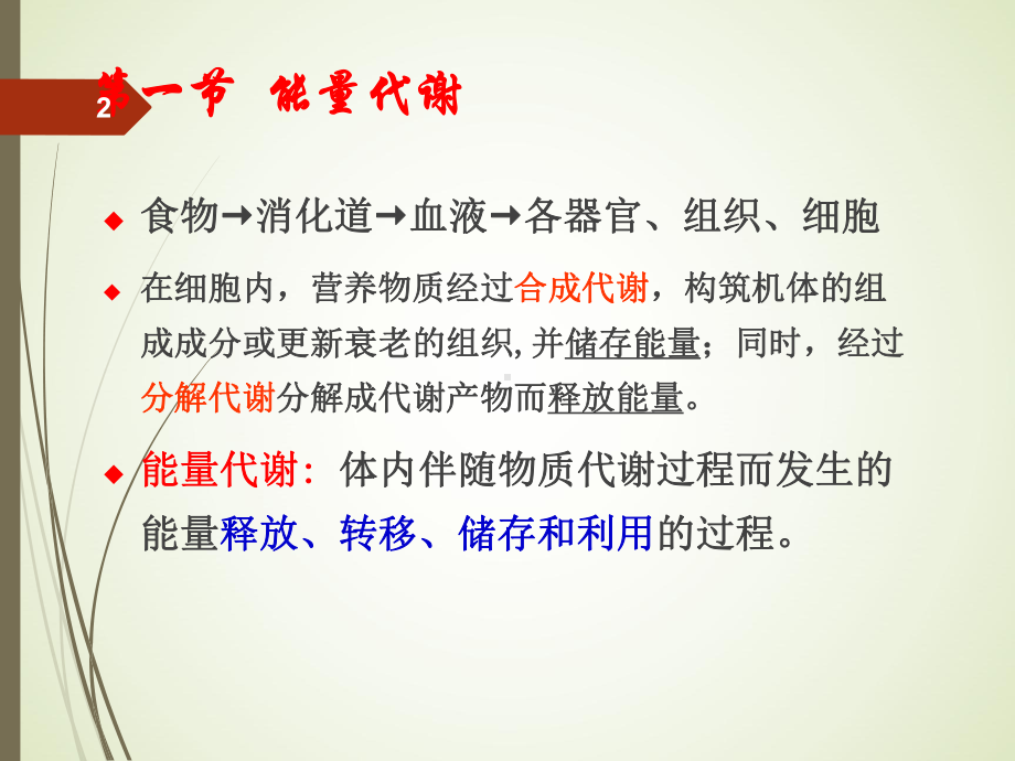 生理学&7-能量代谢课件.ppt_第2页