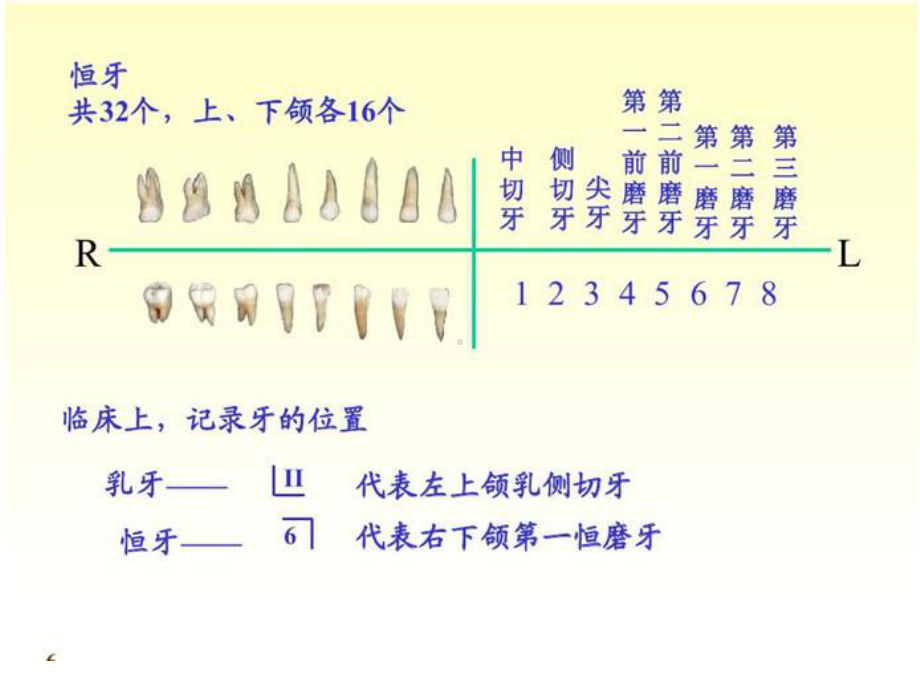 牙齿保健知识课件.ppt_第2页