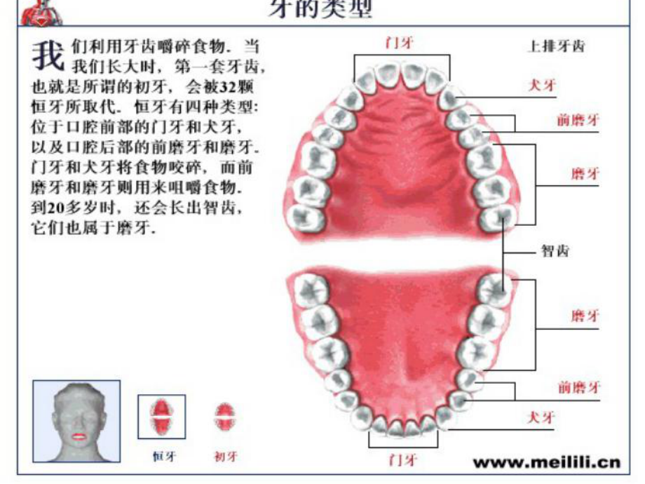 牙齿保健知识课件.ppt_第3页