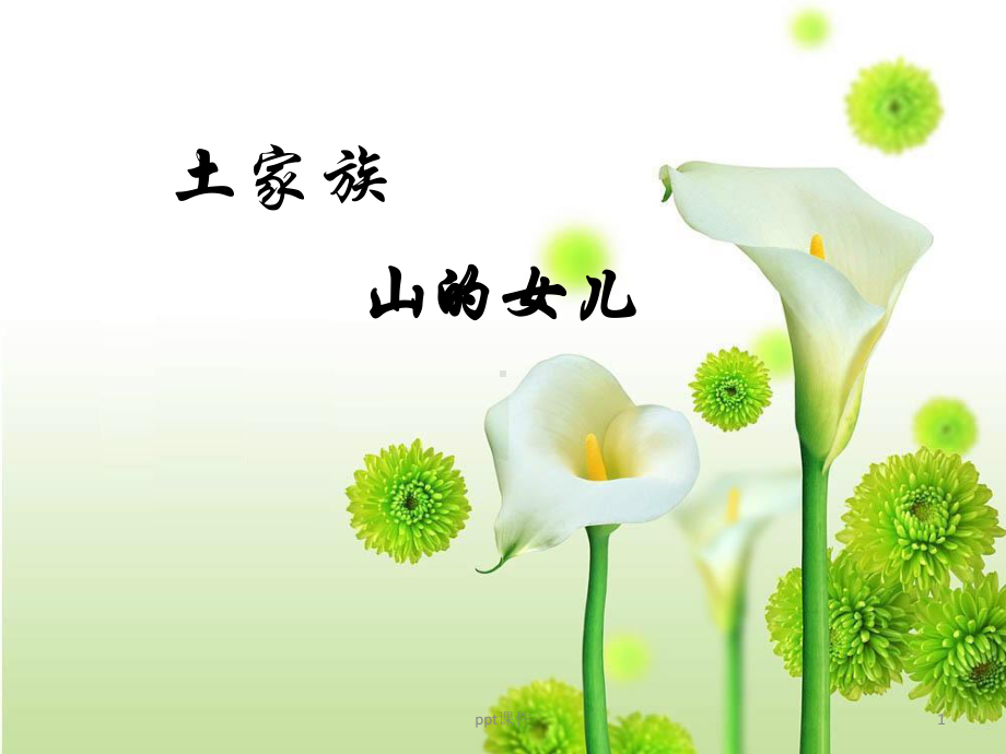 土家族-介绍课件.ppt_第1页