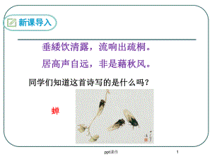 蝉(法布尔)课件.ppt