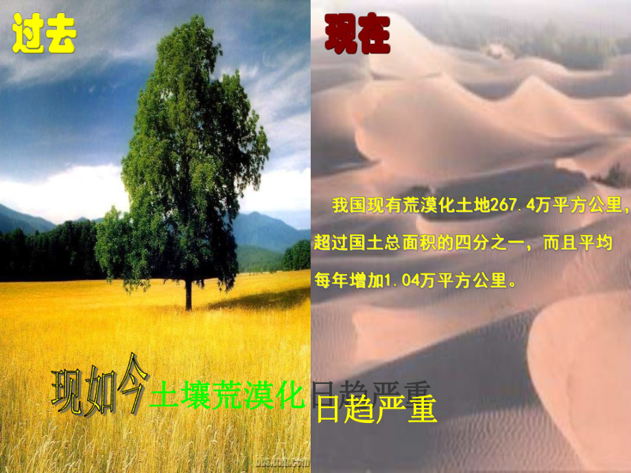 保护绿色家园课件.ppt_第3页