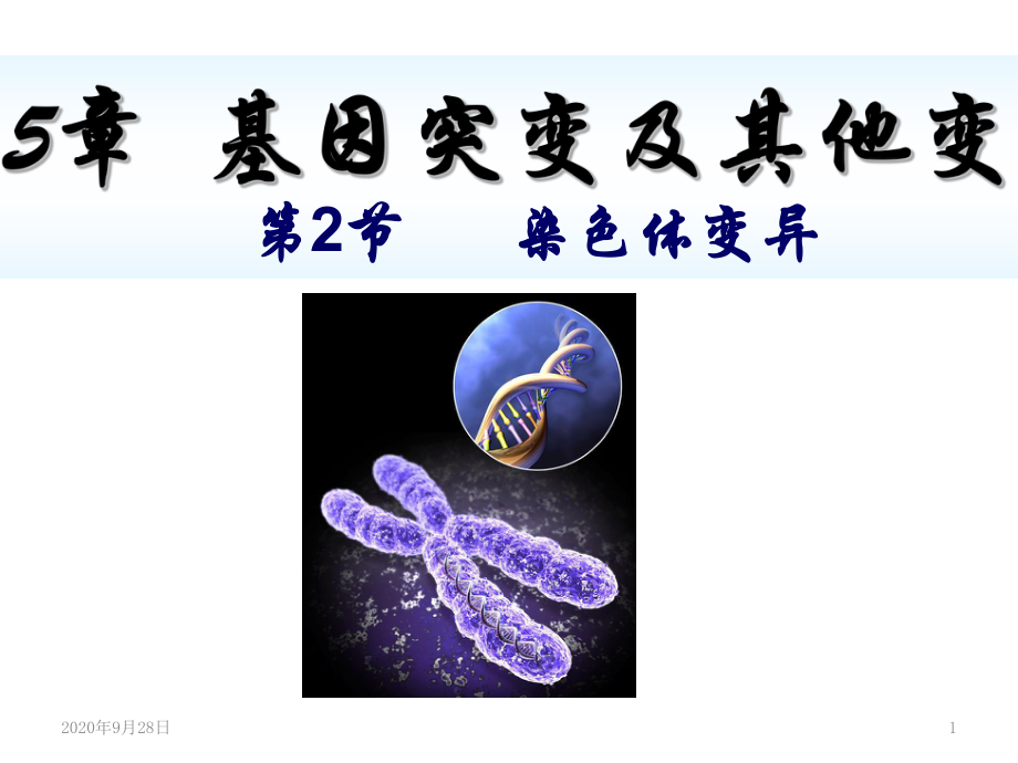 高三一轮复习-染色体变异课件.ppt_第1页