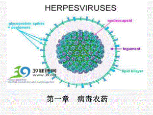 生物农药-第一章-病毒农药第1-部分-洪华珠主编课件.ppt